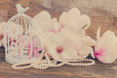 Similar image 8201771