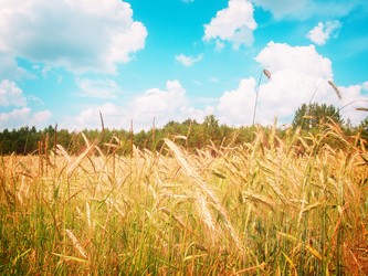 Similar image 8201776