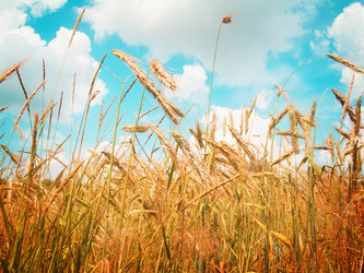 Similar image 8201777