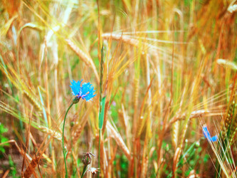 Similar image 8201779