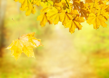 Similar image 8201785