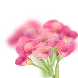 Similar image 8201786