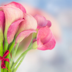 Similar image 8201787