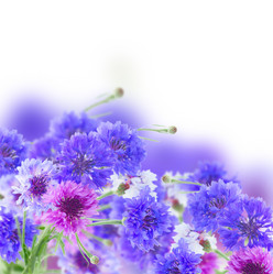 Similar image 8201791