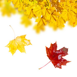 Similar image 8201793