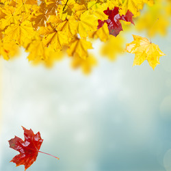 Similar image 8201794