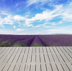 Similar image 8201801