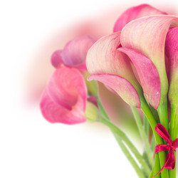 Similar image 8201802