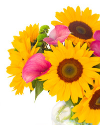 Similar image 8201813