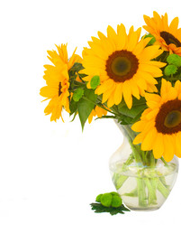 Similar image 8201814