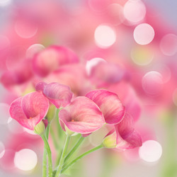 Similar image 8201815