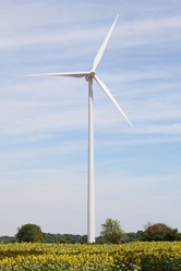 Similar image 8201841