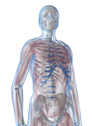 Similar image 8201896