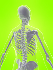 Similar image 8201901