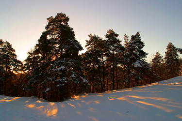 Similar image 8202070