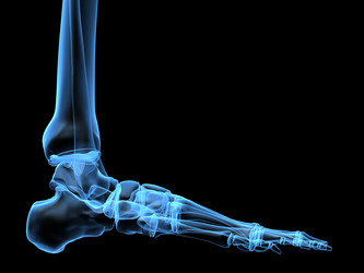 Similar image 8202079