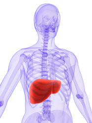 Similar image 8202095