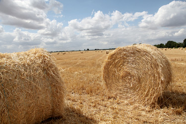 Similar image 8202109