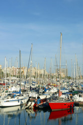 Similar image 8202126