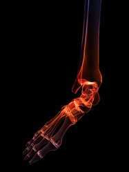 Similar image 8202133