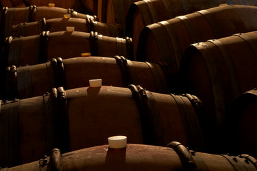 Similar image 8202195