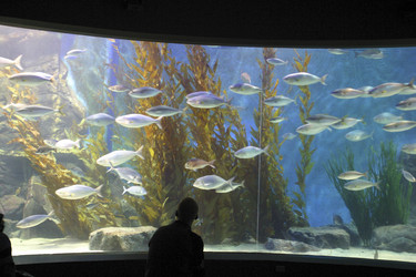 Similar image 8202209