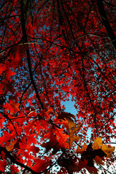 Similar image 8202249