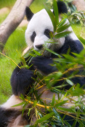 Similar image 8202283