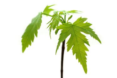 Similar image 8202293