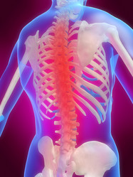 Similar image 8202296