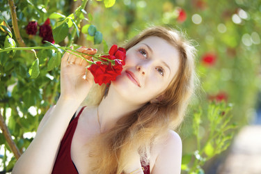 Similar image 8202305