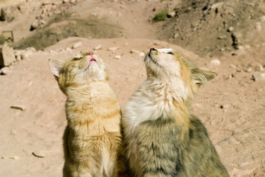 Similar image 8202312