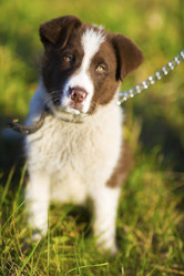 Similar image 8202356