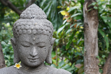 Similar image 8202369