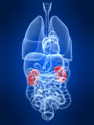 Similar image 8202400