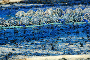 Similar image 8202409