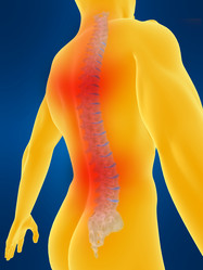 Similar image 8202441