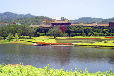 Similar image 8202452