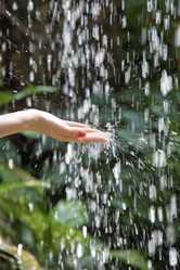 Similar image 8202457