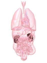 Similar image 8202537