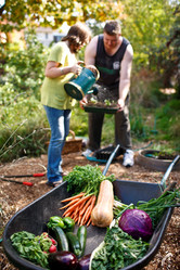 Similar image 8202595