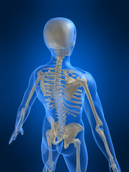 Similar image 8202634