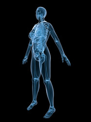 Similar image 8202662