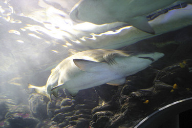 Similar image 8202686