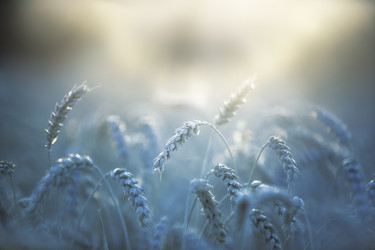 Similar image 8202698