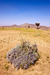 Similar image 8202721