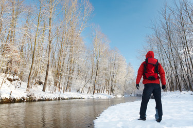 Similar image 8202734