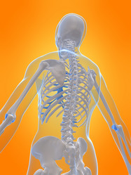 Similar image 8202751