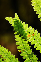 Similar image 8202762