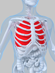 Similar image 8202776